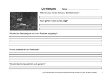 Rotfuchs-Fragen-2.pdf